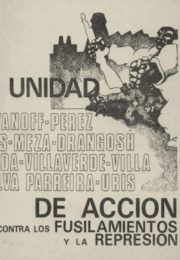thumbnail of Unidad de Accion